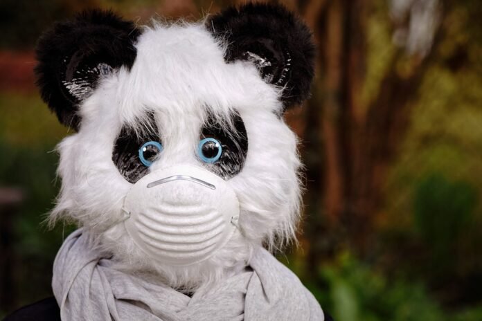 10 Essential Health Precautions Everyone Should Take