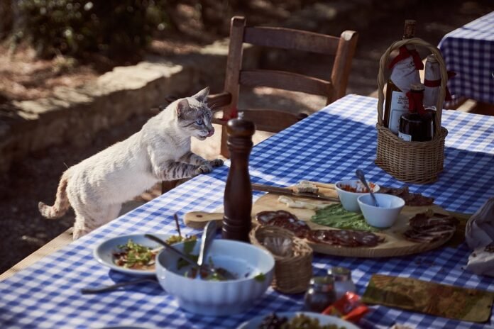 Top 10 Must-Try Restaurants in Your City Top 10 Must-Try Restaurants in Your City